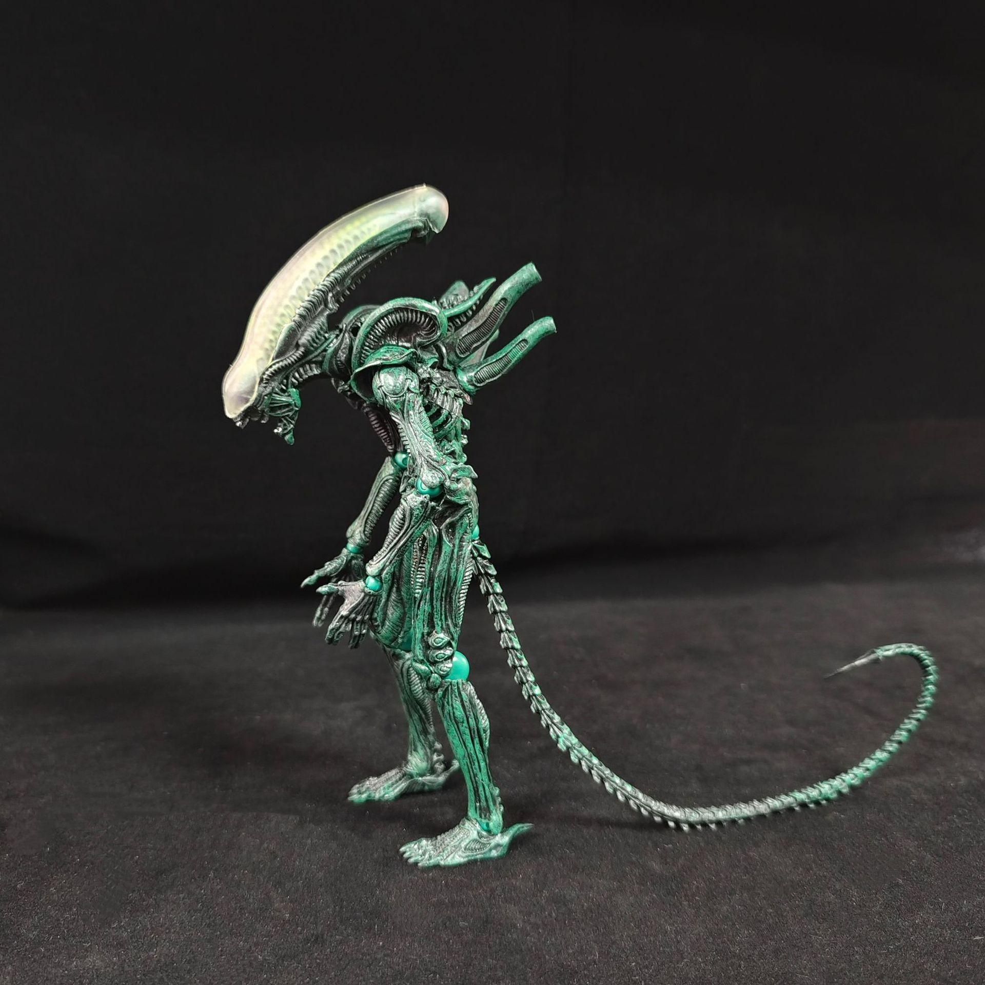 박스형 애니메이션 외계인 액션 피규어 제노모프 관절 가 - Xenomorph Kids Toys 리뷰 및 가격