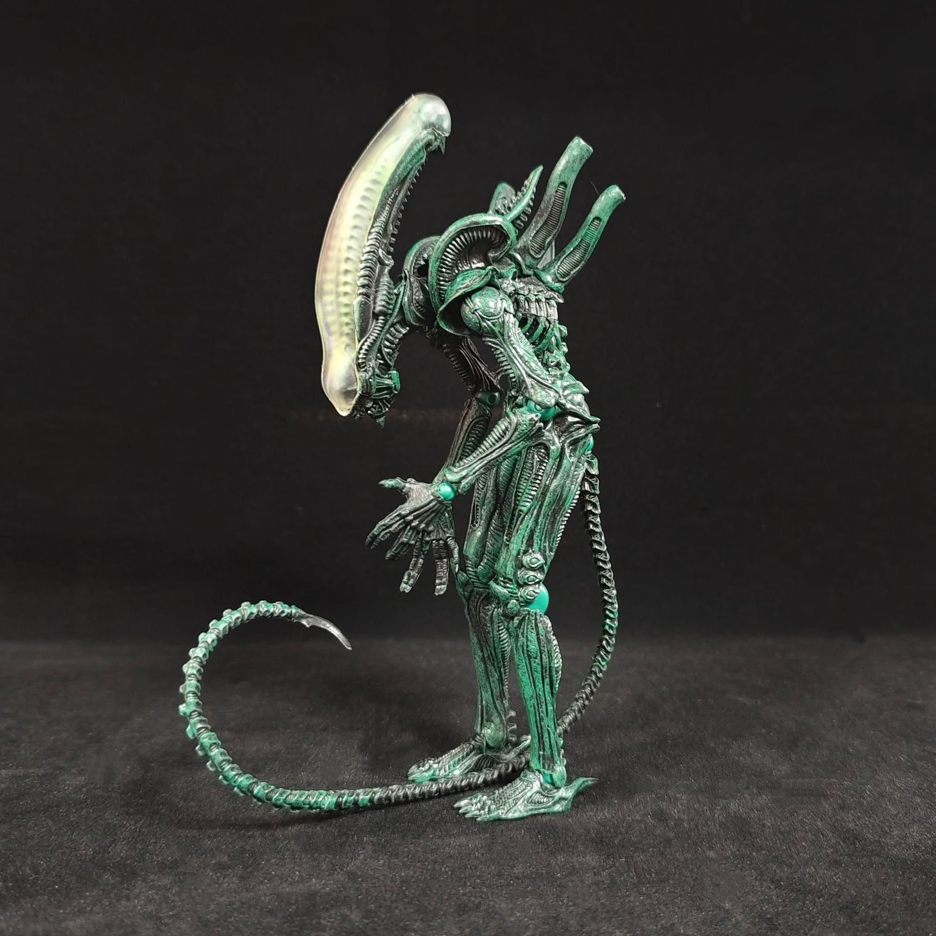 박스형 애니메이션 외계인 액션 피규어 제노모프 관절 가 - Xenomorph Kids Toys 리뷰 및 가격